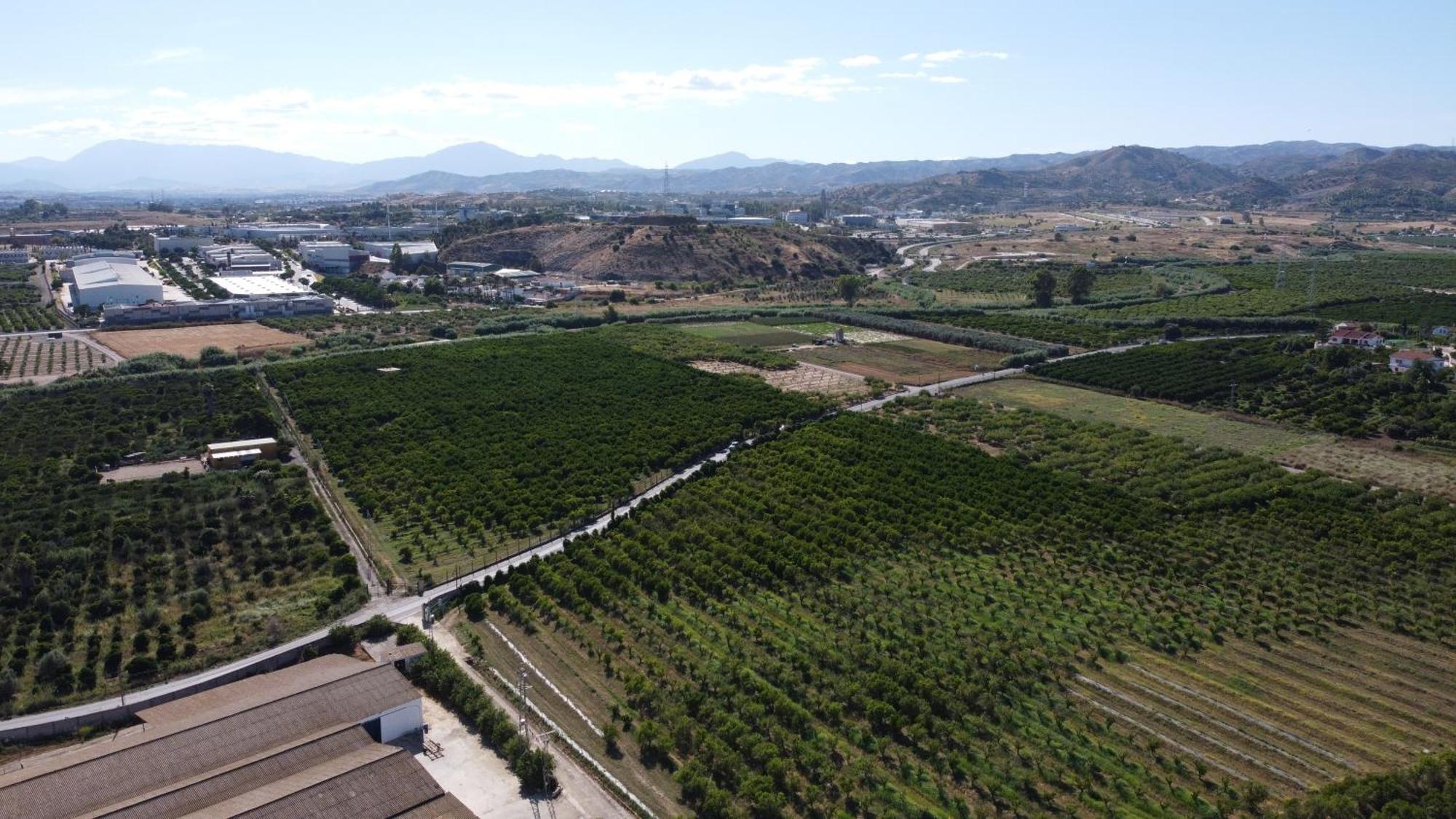 Vila Complejo Rural Lo Arrabal Màlaga Exteriér fotografie