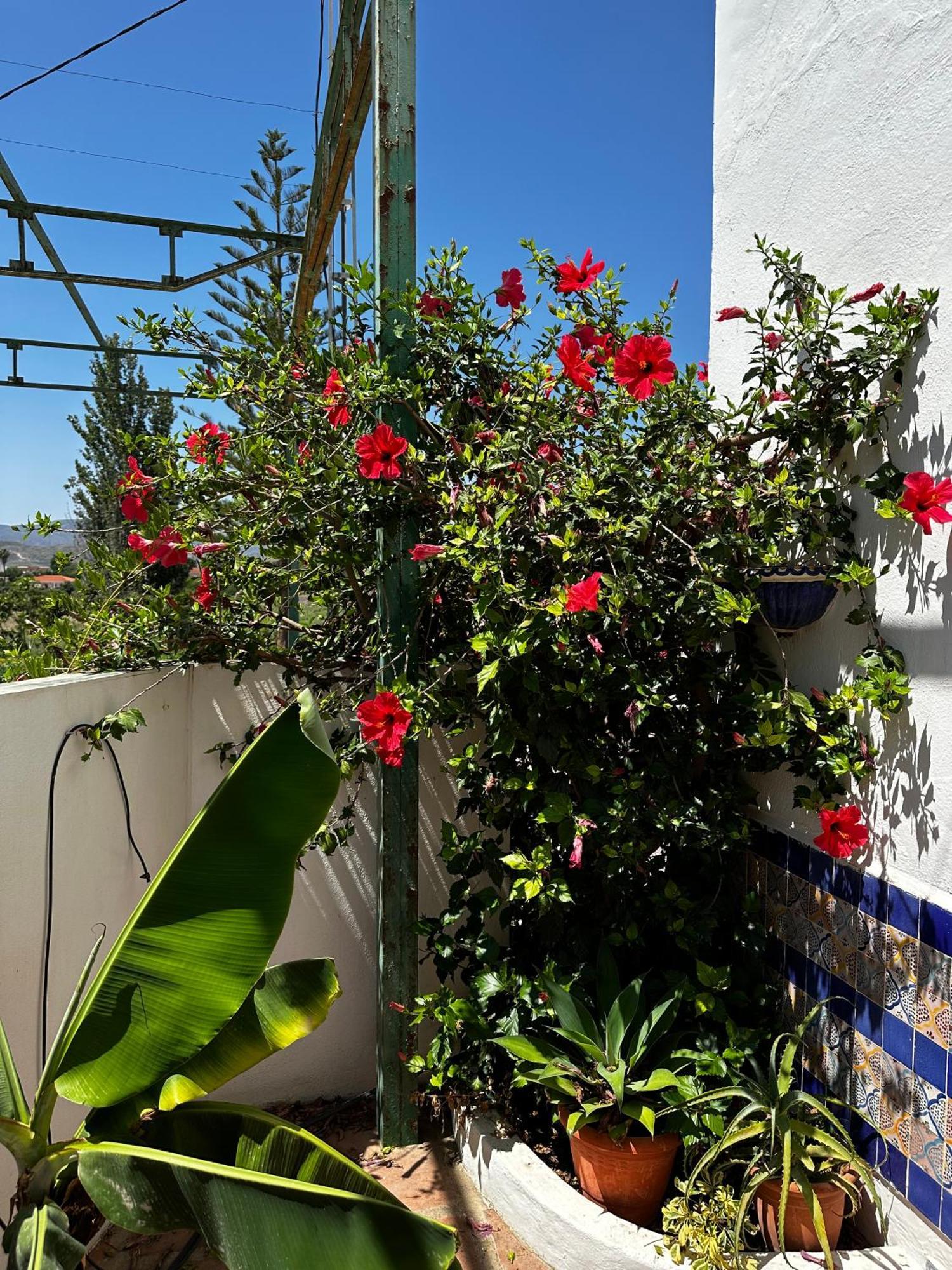 Vila Complejo Rural Lo Arrabal Màlaga Exteriér fotografie